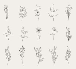 Minimalist flower and flower branches for logos or tattoos. Hand drawn line wedding elements, simple elegant leaves