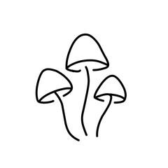 Mushrooms Drawings Vector Illustrations