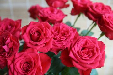 Bouquet of red garden roses.Close-up. Blurred floral background