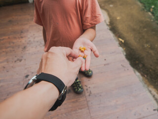 A Handful of Nature's Bounty