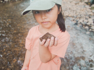 Young Explorer's Geological Discovery