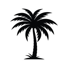 Obraz premium A Palm tree vector silhouette isolated on a white background, Tropical palm tree black clipart. Tropical palm tree