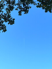 Captured in St. Louis' Lafayette Park, blue sky is vivid with green foliage and plane chemtrail