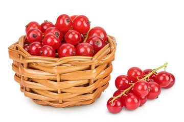 Red currant berries in a wicker basket isolated on white background