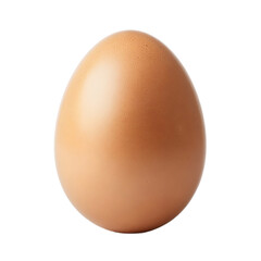 chicken egg