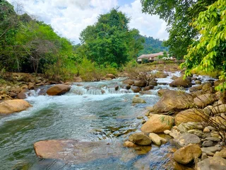 Fleecedeken met foto river in the forest © มุม มืด