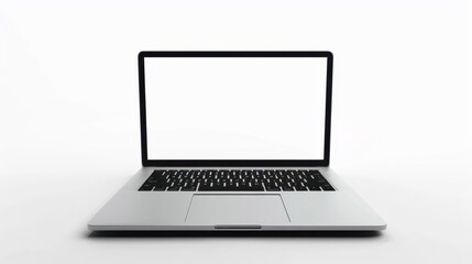 The Laptop with Blank Screen