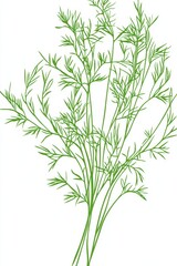 Fototapeta premium Illustration of Fresh Green Herbs Sprig