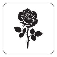 Vintage Flower Design with Classic Botanical Illustrations