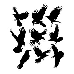 silhouette of a crow in the air