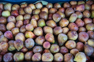 Fig fruit details from Lubiana's market in Slovenia 