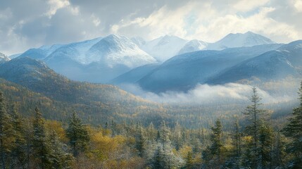 Fototapeta premium The rugged terrain of the White Mountains, with snow-dusted peaks and a dense forest below