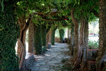 Fototapete bei efototapeten.de bestellen   