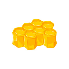Bee honeycomb, honeycomb filled with golden honey, honey in honeycombs.