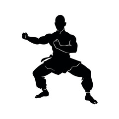 a strong muscle male martial arts kung fu man standing in a powerful pose, highlighted in silhouette against an isolated white background