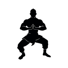 a strong muscle male martial arts kung fu man standing in a powerful pose, highlighted in silhouette against an isolated white background