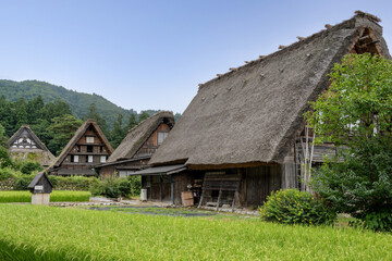 夏の白川郷, 岐阜県

