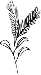 Botanical abstract line arts Bouquets of herbs, flowers, leaves and branches. Hand drawn minimal design. Perfect for wallpaper, template, banner, wall decor, print, postcard, cover Vector illustration