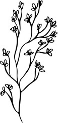 Botanical abstract line arts Bouquets of herbs, flowers, leaves and branches. Hand drawn minimal design. Perfect for wallpaper, template, banner, wall decor, print, postcard, cover Vector illustration