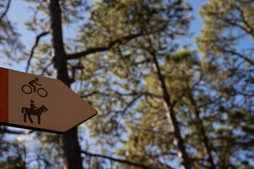 A sign with a bicycle and a horse on it is pointing to the right. The sign is surrounded by trees, and the sky is clear and blue. Concept of adventure and exploration
