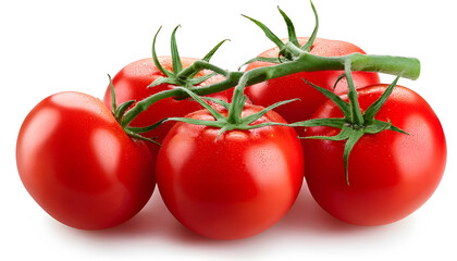Tomato on branch, isolated on white background, full depth of field