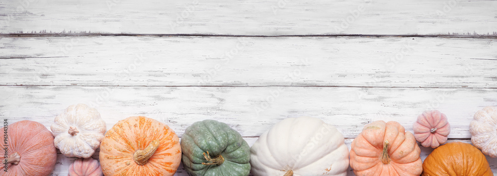 Poster autumn bottom border of pastel pumpkins of various sizes and colors over a rustic white wood banner 