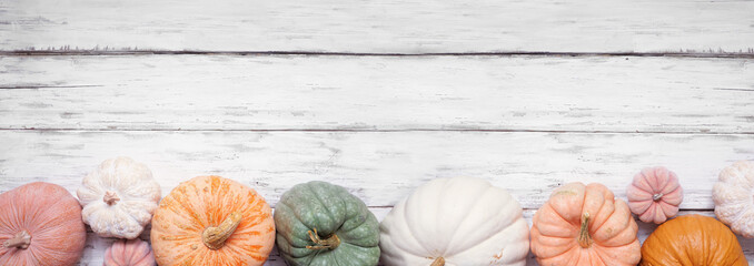 Autumn bottom border of pastel pumpkins of various sizes and colors over a rustic white wood banner background. Top view with copy space.