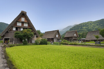 Obraz premium 夏の白川郷, 岐阜県