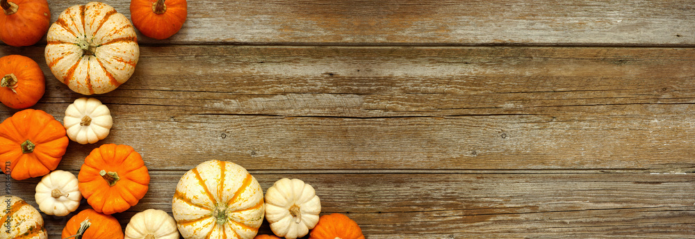 Poster fall corner border of orange and white pumpkins over a rustic wood banner background. above view wit