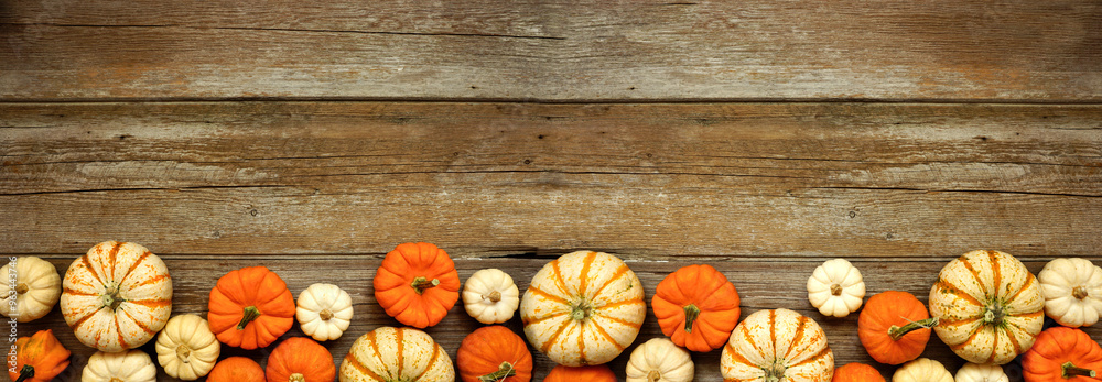 Poster fall bottom border of orange and white pumpkins over a rustic wood banner background. top down view 