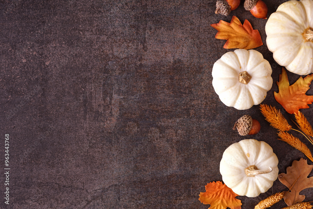 Poster Fall side border of white pumpkins with muted orange and brown autumn decor. Top down view on a rustic dark stone background with copy space.