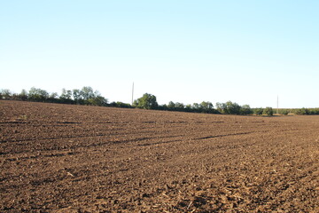 A field with trees in the background