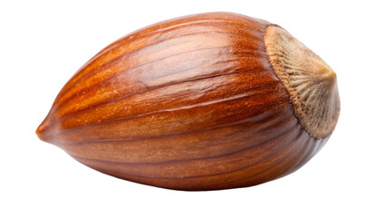 Delicious hazelnuts isolated on transparent background