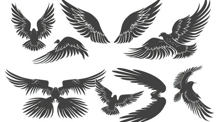 Obraz premium Set of black wings icons. Wings badges. Collection wings badges. Vector illustration