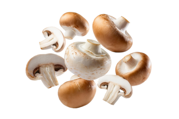 Falling Set of Mushrooms Cut out With Full Depth of Field