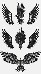 Obraz premium Set of black wings icons. Wings badges. Collection wings badges. Vector illustration