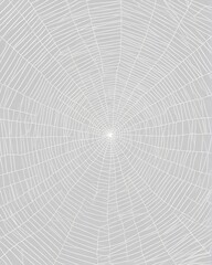 Obraz premium Abstract white spider web with Grey Background