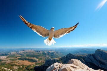 Fototapeta premium Bird hovering above a valley, surveying the world below as it finds calm and stillness in the open air, high above the earth