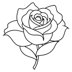 Rose Flower Line Art Clear Drawing Book Vector Illustration