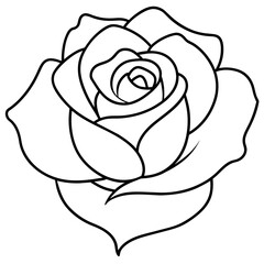 Rose Flower Line Art Clear Drawing Book Vector Illustration