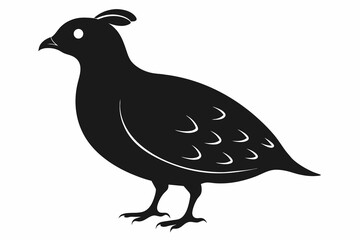 Quail silhouette black color vector art illustration