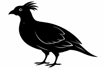 Quail silhouette black color vector art illustration