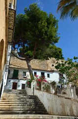 Calle del casco antiguo de Denia, Costa Blanca, provincia de Alicante, Comunidad Valenciana, España.