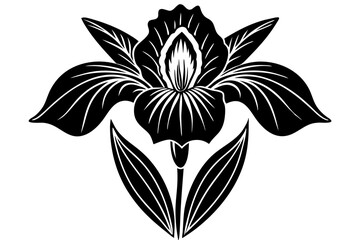 Iris flower  silhouette. Vector illustration