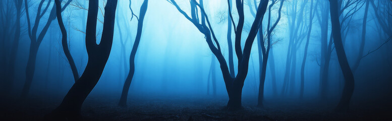 Obraz premium A mesmerizing photograph of a haunting forest, shrouded in thick fog. Twisted trees reach towards the sky, their branches gnarled and eerie, creating a sense of mystery and the unknown. The blue-toned
