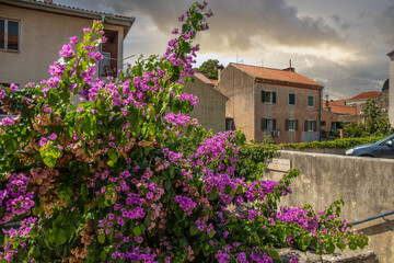 Streets, alleys and buildings of a historic Mediterranean old town on the Mediterranean Sea. A sunny day in the coastal town with a port on the Adriatic Sea, Zadar, Dalmatia, Croatia