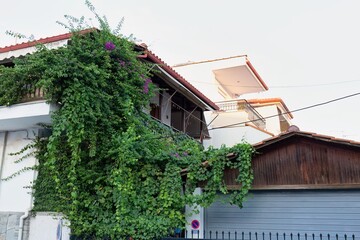 old house in pefkochori, greece.