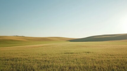 Obraz premium Rolling Green Hills Under a Clear Blue Sky