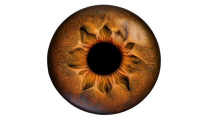 macro shot of human eye ball isolated on transparent background PNG.