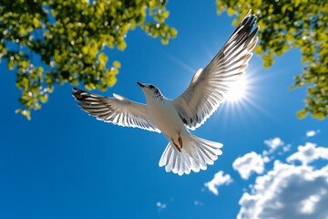 Fototapeta premium Bird diving toward the earth, feathers catching the wind before pulling up at the last moment, performing an aerial ballet